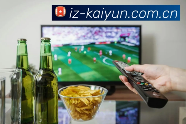 开云 用户协议封面